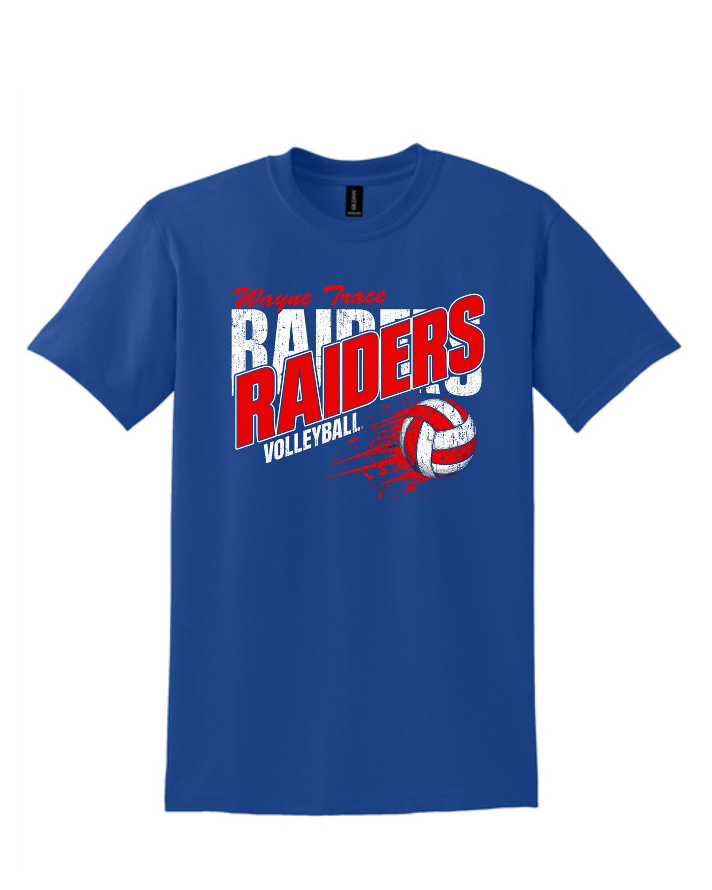 Raiders Slant Volleyball on Blue(All Options)