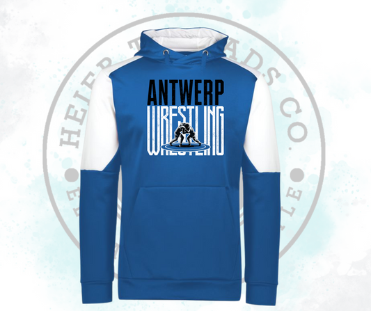 Biddy Wrestling Momentum Hoodie