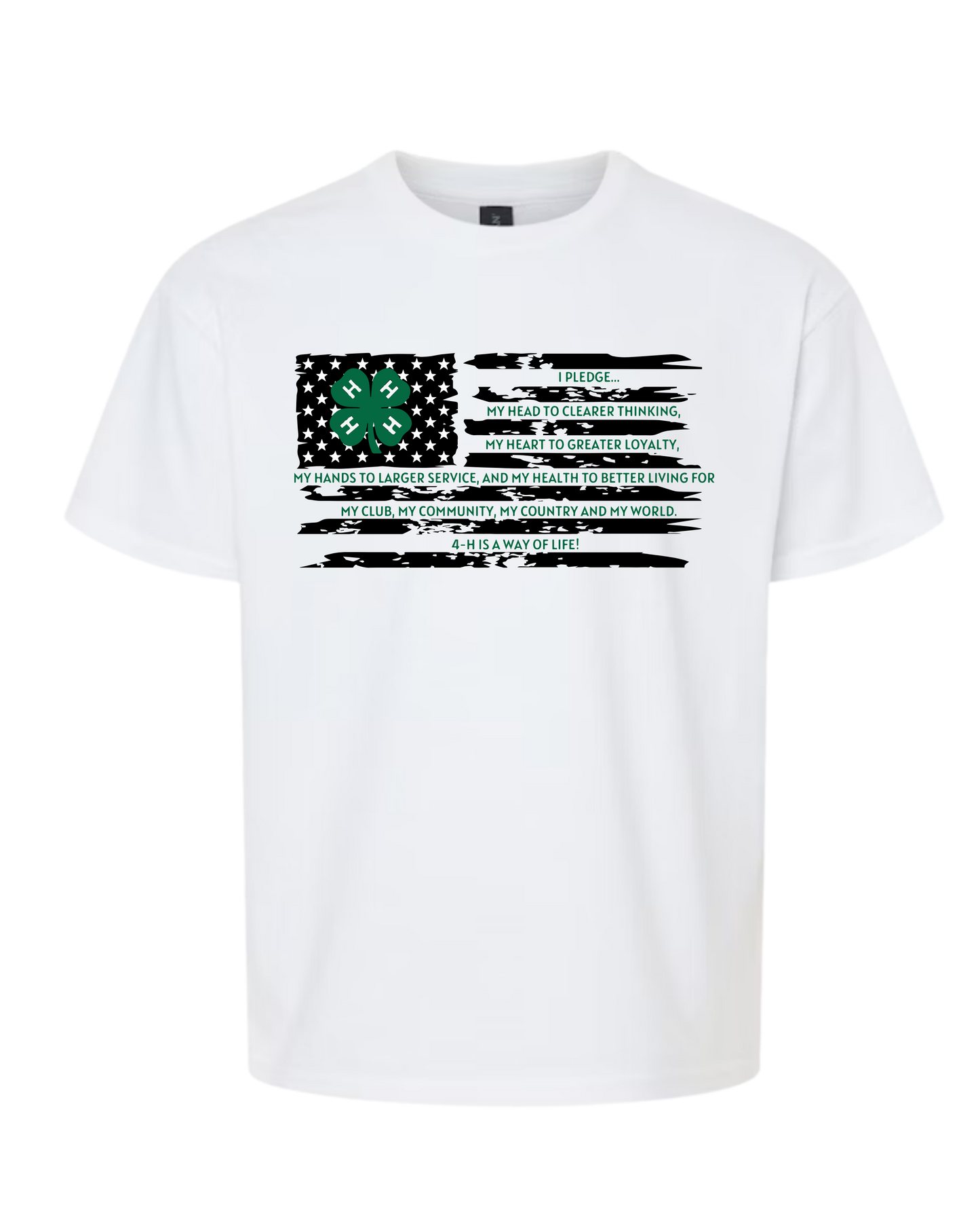 I Pledge (All Options)