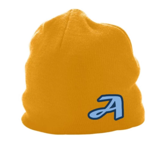 Pilots Beanie 3