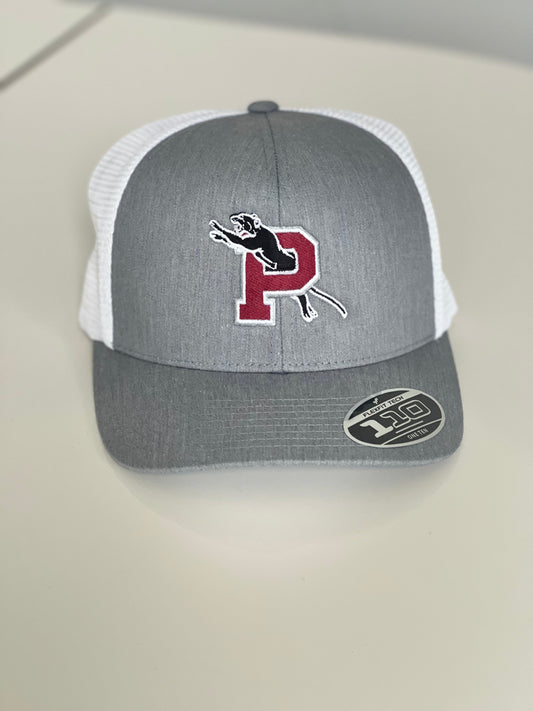 Panthers Trucker Flexfit SnapBack Cap